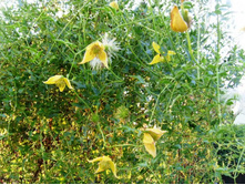 ����. ���� ����� ��������� ��������.JPG