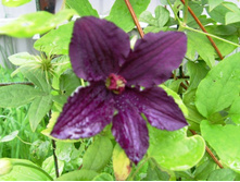 �������� ��������.JPG