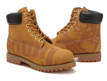 ���. ����