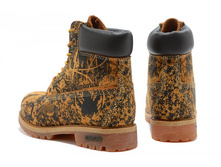 ���. ����