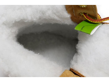 ���. ����