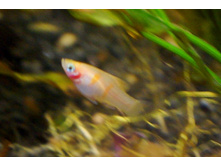 ������� ����.������.JPG