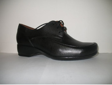 245 ���� ������-1010�.