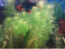 20130828_123023.jpg