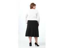 ���.1-244   ���� ��������� 0,75   (��� �����)