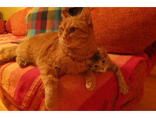 ���� 026.jpg