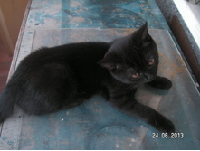 PICT0076.JPG