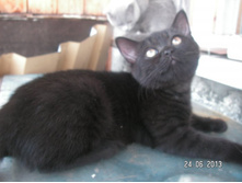 PICT0077.JPG
