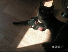 PICT0090.JPG