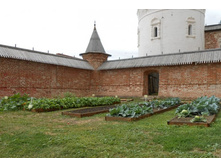 ������ 14.jpg