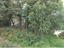 ����� ����.jpg