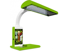 ���������� ����� 1033  ���.