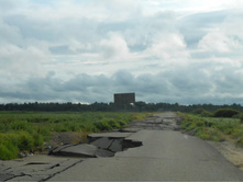 ������ 3.jpg