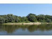 ������ 2.jpg