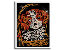 007 ����� �����