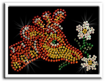 �010 �����