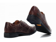 ���. ����