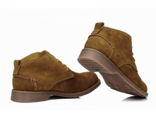 ���. ����