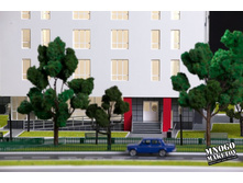 ����� ���� (3).jpg