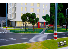 ����� ���� (15).jpg