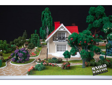 ������ ����� (3).jpg