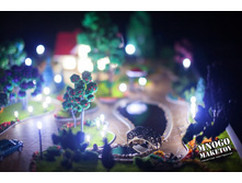 ������ ����� (23).jpg