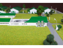 ����� ����� (6).jpg