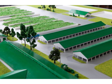 ����� ����� (10).jpg