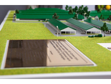 ����� ����� (11).jpg