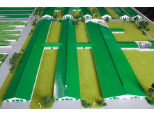 ����� ����� (12).jpg