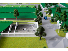 ����� ����� (13).jpg