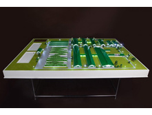 ����� ����� (14).jpg