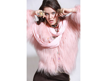 831256�   2010���