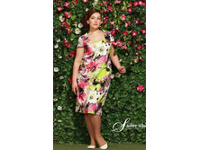 2305089 (������).jpg