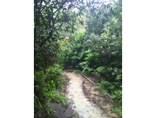 Hiking in Hoi Ha Wan