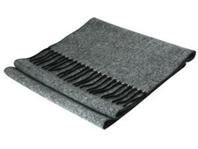 ���� DNc.jpg