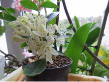 �������� ������