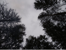DSCN1549.JPG