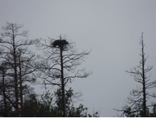 DSCN1555.JPG