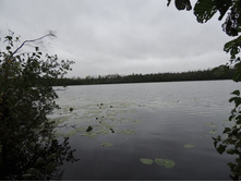 DSCN1558.JPG