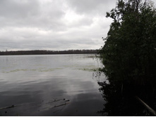 DSCN1595.JPG