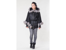 ������  ������    ��� ����������