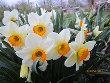 ���������������  ������� "��������"