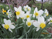 ������� ����� ������ � ����� ��������