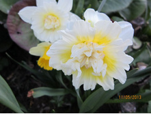 ��������