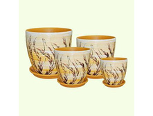 ������������ ������. ������. ����� \"�����\". ������� �42