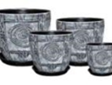 ������������ ������. ������. ����� \"������� ������\". ������� 81