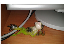 2013-09-03 09.54.03.jpg