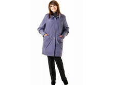 ������ ����