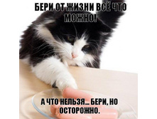 ���� �� ����� ���.jpg